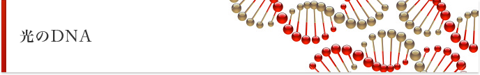光のDNA