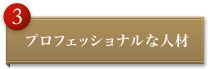 プロフェッショナルな人材