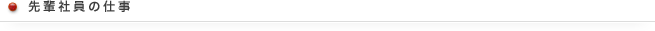 先輩社員の仕事